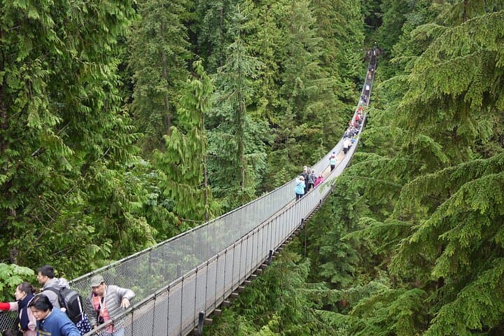 discover-wild-beauty-north-vancouver-private-car-tour