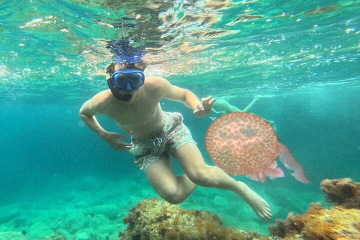 Costa Brava Kayak & Snorkel Adventure from Barcelona photo 6