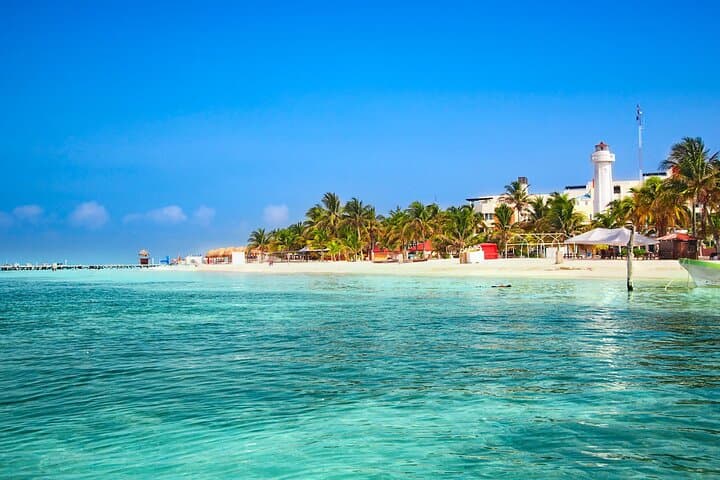 Whale Shark Snorkel Day Trip from Tulum: Swim with Gentle Giants & Beach Lunch photo 3