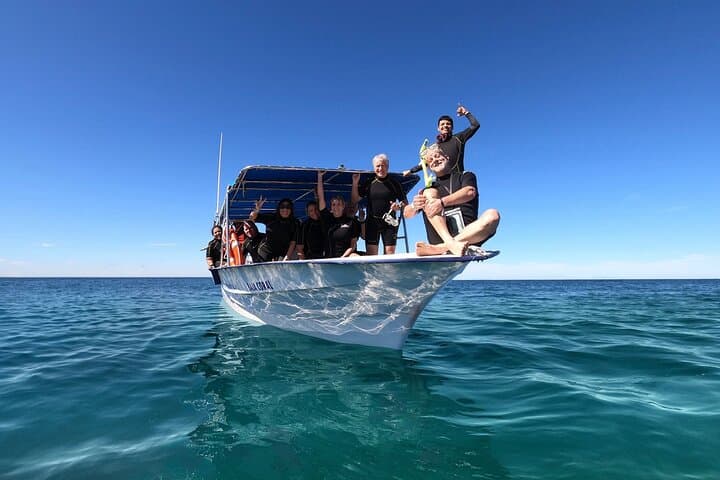 Whale Shark Snorkel Day Trip from Tulum: Swim with Gentle Giants & Beach Lunch photo 4