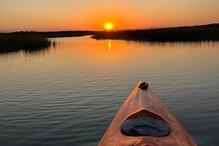 Paddle with Dolphins: Family-Friendly Kayak Tours on Hilton Head's Broad Creek photo 5