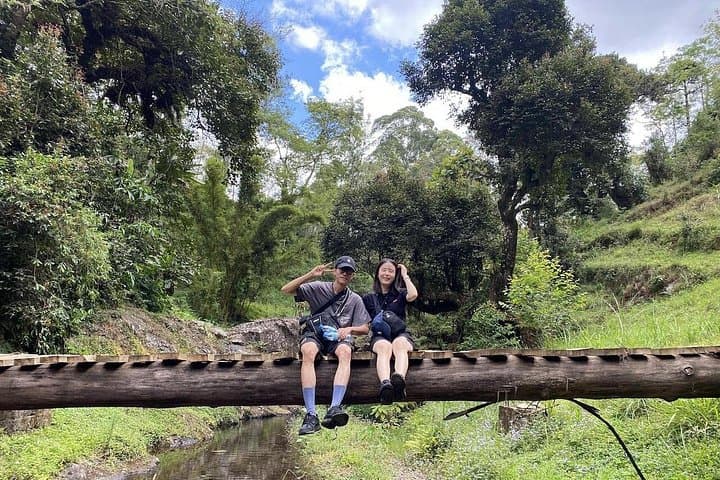 Machame Village Cultural Tour: Chagga Dance, Coffee & Waterfall Hike photo 4