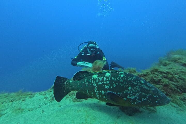 Shore Scuba Diving at Playa Chica, Lanzarote — Certified Diver Excursions photo 2
