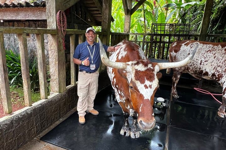 Poás Volcano, La Paz Waterfalls & Coffee: Full-Day Cloud Forest Adventure