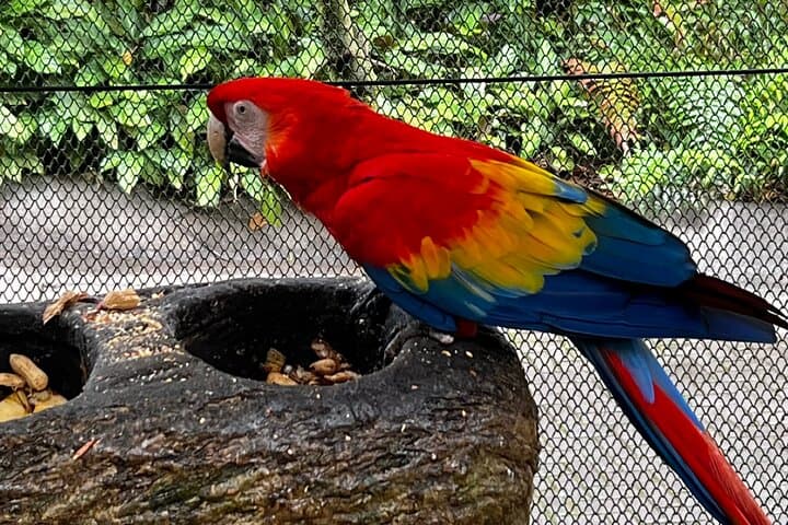 Poás Volcano, La Paz Waterfalls & Coffee: Full-Day Cloud Forest Adventure photo 2