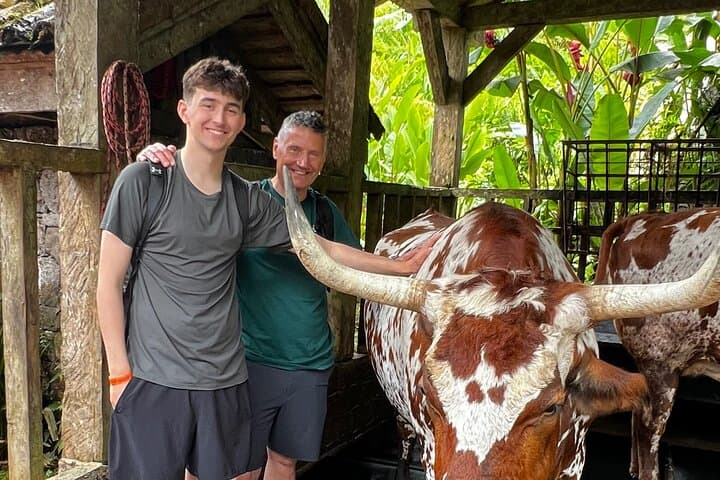 Poás Volcano, La Paz Waterfalls & Coffee: Full-Day Cloud Forest Adventure photo 6