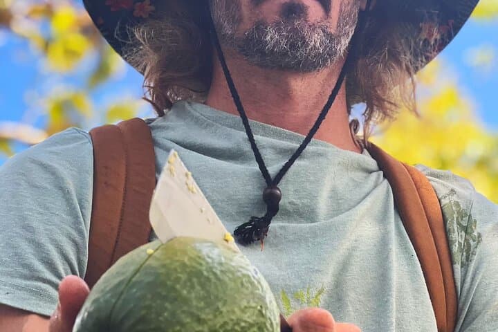 Pick and Taste Tropical Fruit on Kauai's Largest Organic Farm photo 3