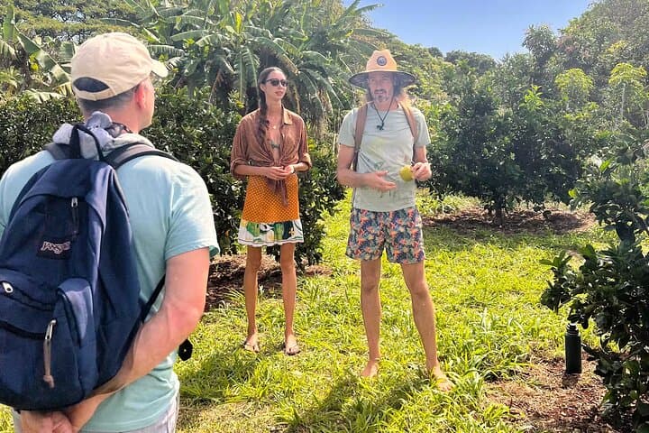 Pick and Taste Tropical Fruit on Kauai's Largest Organic Farm photo 2