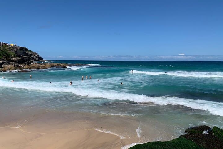 Sydney Full-Day Private Harbour & Coastal Adventure — Bondi, Watsons Bay & Opera House photo 3