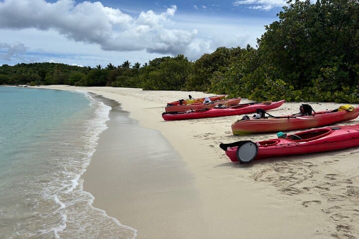 Kayak and Snorkel with Sea Turtles in Virgin Islands National Park photo 5