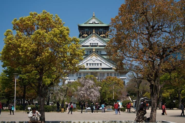 Customizable Osaka Historical Full-Day Walking Tour | Private Guide & Flexible Itinerary photo 4
