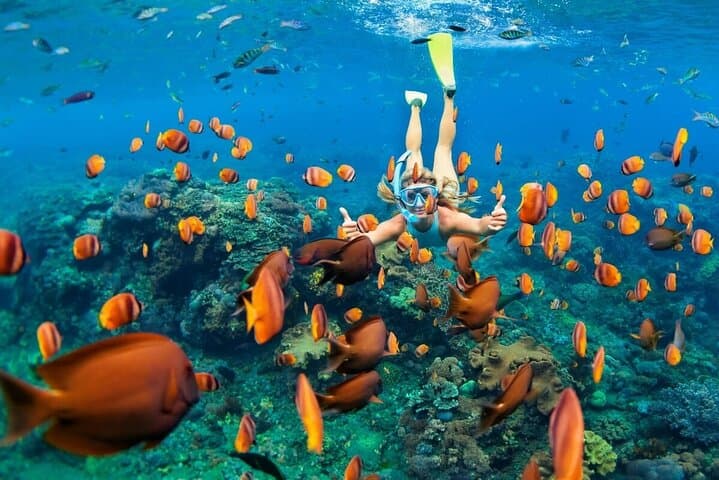 Blue Lagoon Snorkel & Waterfall Combo — Private Transfer, Boat, Lunch