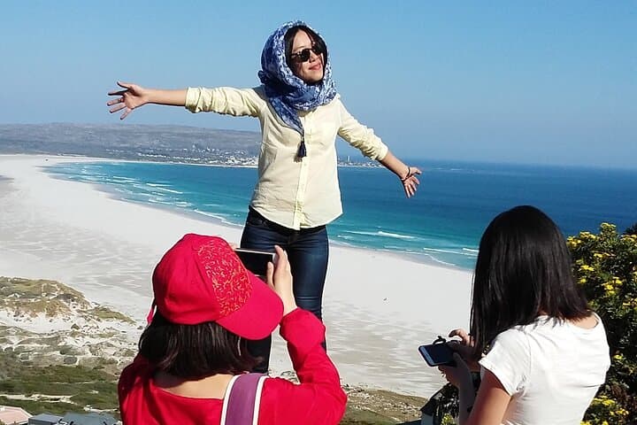 Table Mountain, Penguins & Constantia Wine: Cape Peninsula Full-Day Tour photo 3