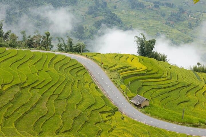 Vietnam 14-Day Culinary Tour — Hanoi to Ho Chi Minh with Hands-On Cooking Classes photo 4