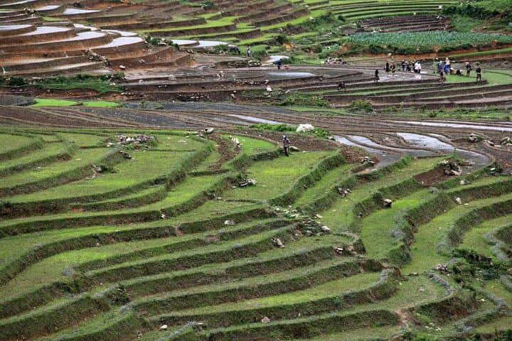Vietnam 14-Day Culinary Tour — Hanoi to Ho Chi Minh with Hands-On Cooking Classes photo 3