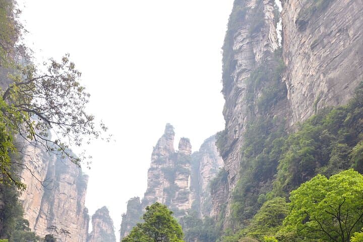 VIP One-Day Zhangjiajie National Forest Park Private Tour — Tianzi & Avatar Peaks photo 5