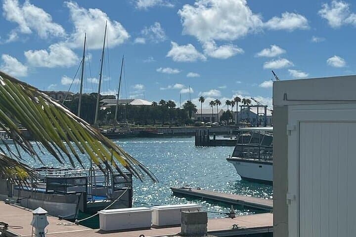 Bermudaful Island Private 3-Hour Tour — Pink Sand Beaches, Gibbs Lighthouse & Local Flavors photo 2