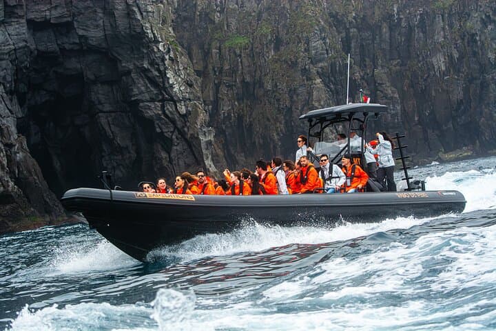 Wild North Coast Caves & Cliffs Boat Tour — São Miguel Adventure photo 5
