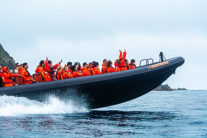 Wild North Coast Caves & Cliffs Boat Tour — São Miguel Adventure photo 4