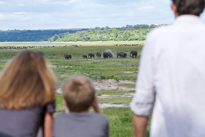 Chobe Day Safari from Victoria Falls: Riverfront Elephants & Boat Cruises