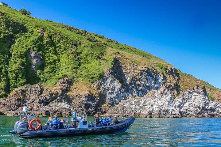 RIB Wildlife Safari on the Cromarty & Inner Moray Firth photo 4