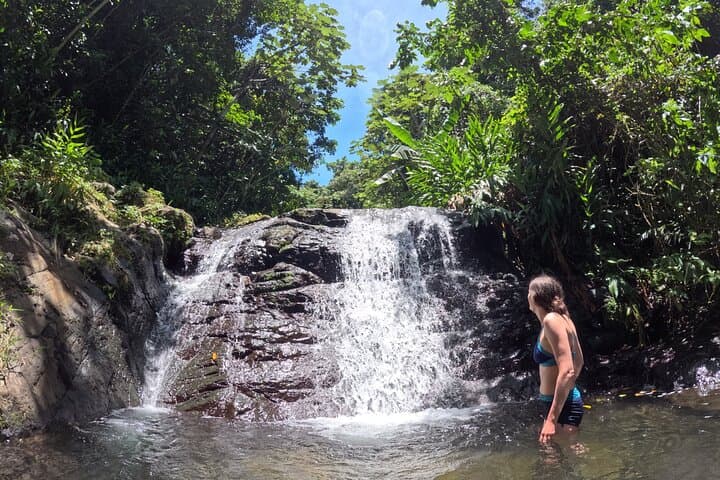 Chasing Waterfalls in Puerto Rico’s Cordillera Central — Full-Day Mountain Escape photo 2