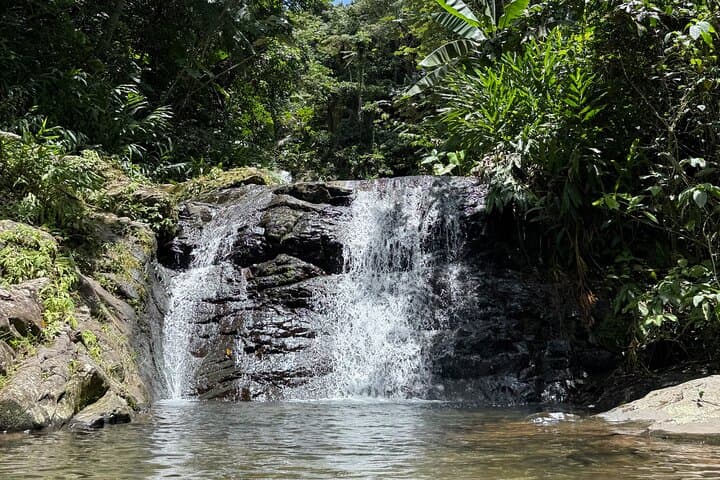 Chasing Waterfalls in Puerto Rico’s Cordillera Central — Full-Day Mountain Escape photo 4