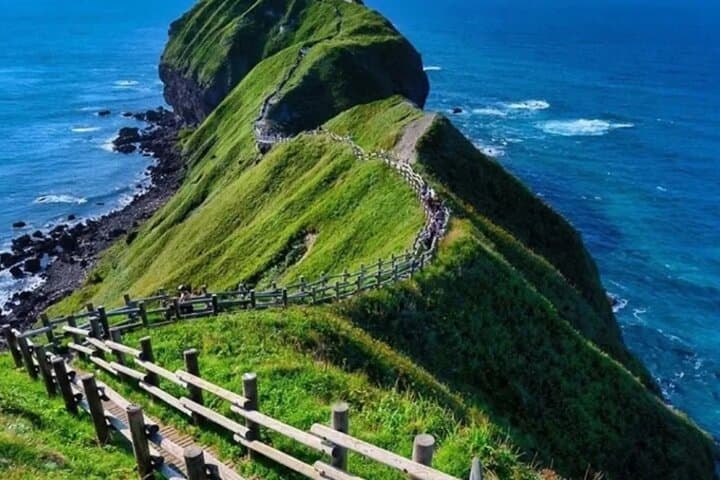 Shakotan Peninsula Day Tour: Cape Kamui, Shimamui Coast, Yoichi Distillery & Otaru from Sapporo