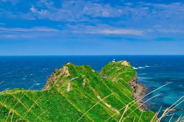 Shakotan Peninsula Day Tour: Cape Kamui, Shimamui Coast, Yoichi Distillery & Otaru from Sapporo photo 2