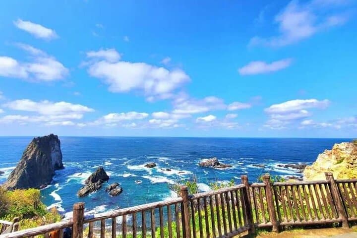 Shakotan Peninsula Day Tour: Cape Kamui, Shimamui Coast, Yoichi Distillery & Otaru from Sapporo photo 4