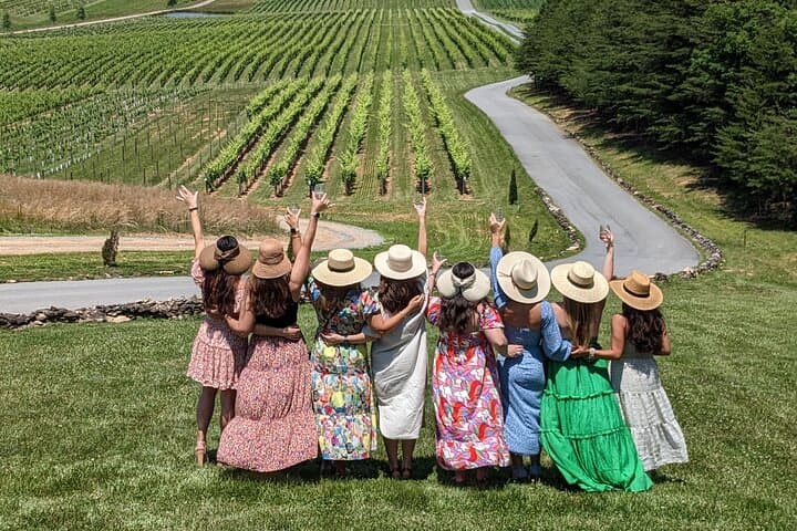 Yadkin Valley Two-Vineyard Wine Tour from Charlotte: Tastings, Lunch, and Rolling Piedmont Views photo 2
