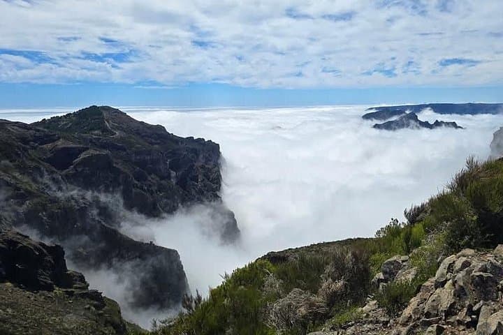 Explore Madeira’s East and South Coast: Private Day Tour from Funchal photo 6