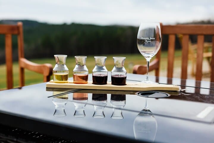 Exploring Western North Carolina’s Vineyards: A Two-Winery Wine Tour Experience photo 2