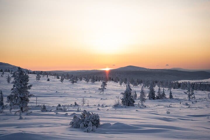 Half-Day Backcountry Skiing & Photography in Levi — Arctic Forests and Open Fells photo 4