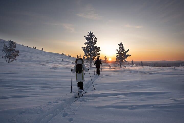Half-Day Backcountry Skiing & Photography in Levi — Arctic Forests and Open Fells photo 2