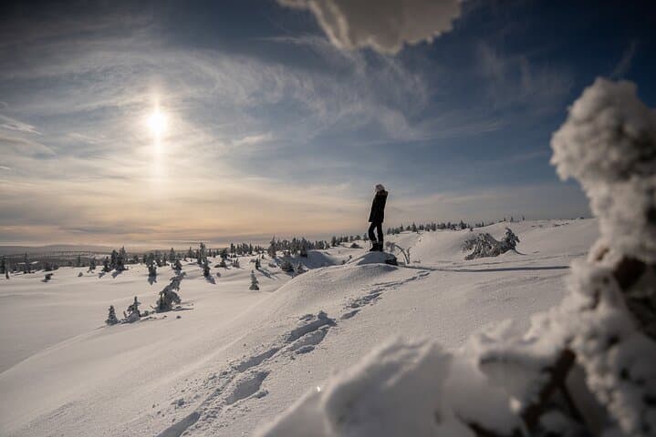 Half-Day Wilderness Hike from Levi into Pallas-Yllästunturi National Park photo 2