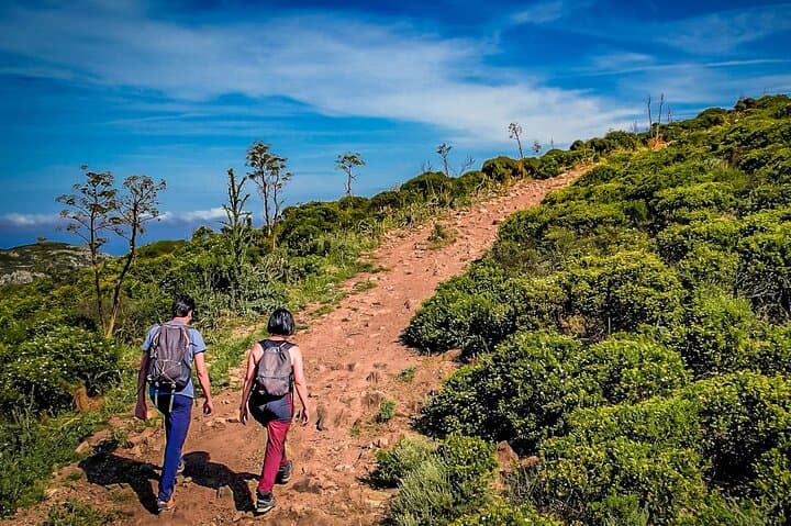 Jeep Tour from Iglesias: Trekking Pan di Zucchero, Marganai Forest & Mining Ruins photo 4