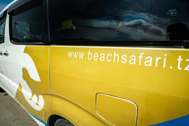 Kizimkazi Dolphin Adventure: Morning Dhow Safari in Zanzibar photo 5