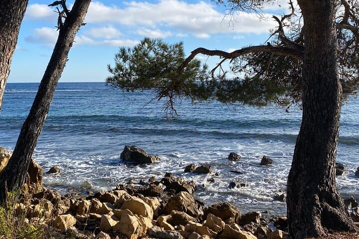 Half-Day Private Tour: Saint-Paul-de-Vence, Antibes & Cannes from Nice photo 2