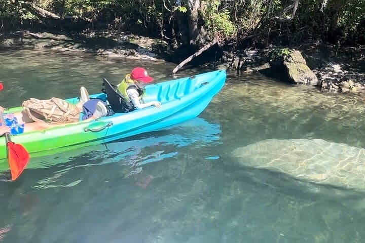 Paddle Kings Bay: Tandem Kayak Rental to Three Sisters Springs in Crystal River