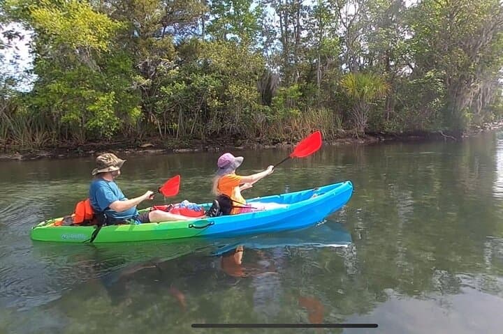 Paddle Kings Bay: Tandem Kayak Rental to Three Sisters Springs in Crystal River photo 5