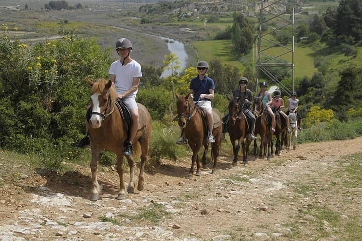 Private Ephesus and Kusadasi Horseback Ride: Ancient Ruins to Olive-Grove Trails photo 1