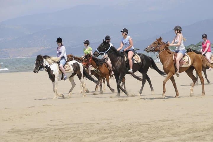 Private Ephesus and Kusadasi Horseback Ride: Ancient Ruins to Olive-Grove Trails photo 2