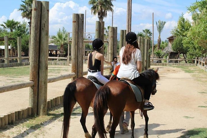 Private Ephesus and Kusadasi Horseback Ride: Ancient Ruins to Olive-Grove Trails photo 3