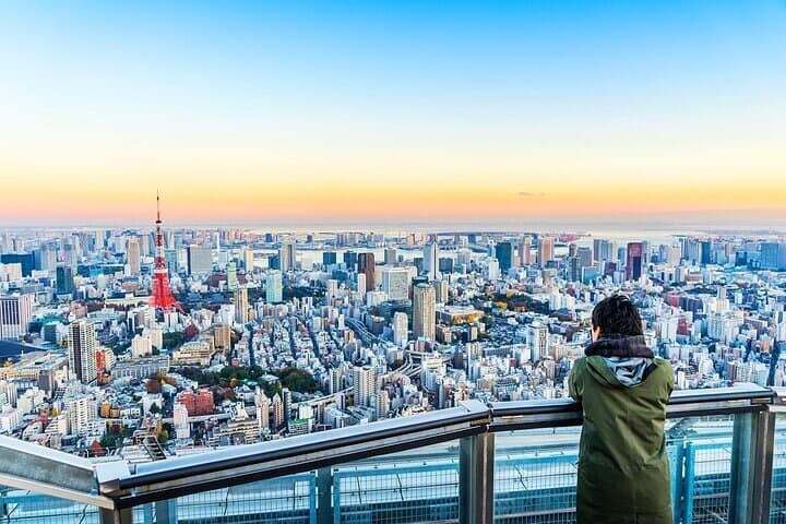 Tokyo City View: Roppongi Hills 52nd-Floor Observation Deck Ticket photo 3