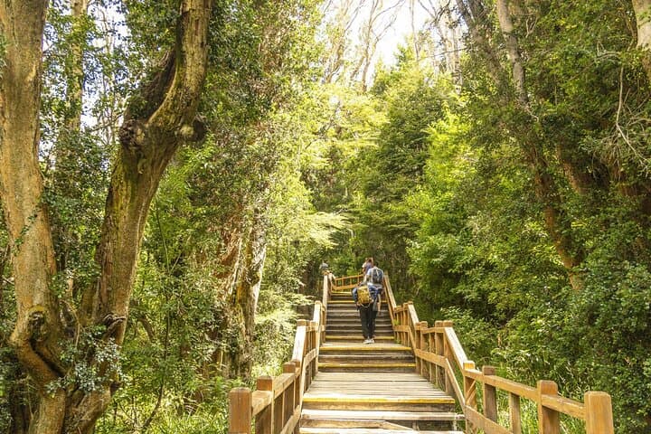 Bariloche Boat Trip to Victoria Island & Arrayanes Forest — Nahuel Huapi Cruise photo 4