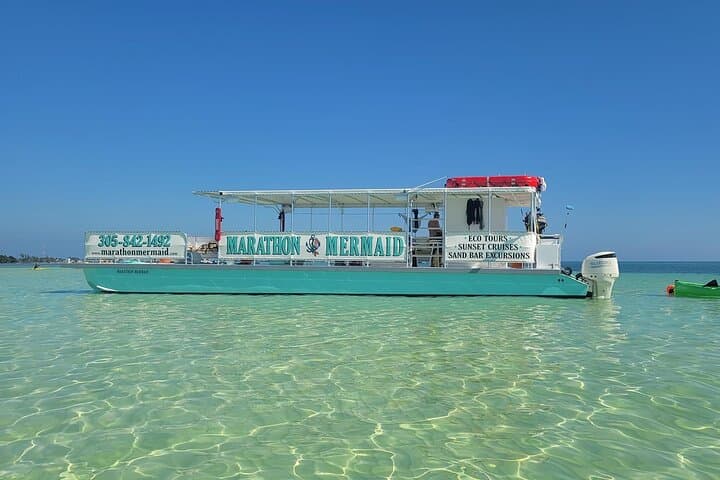 Marathon Sandbar Cruise & Sightseeing: Sandbar Experience in the Florida Keys