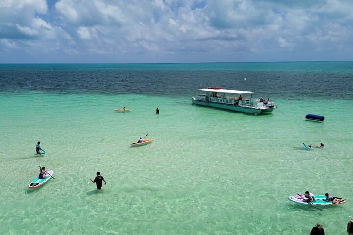 Marathon Sandbar Cruise & Sightseeing: Sandbar Experience in the Florida Keys photo 5