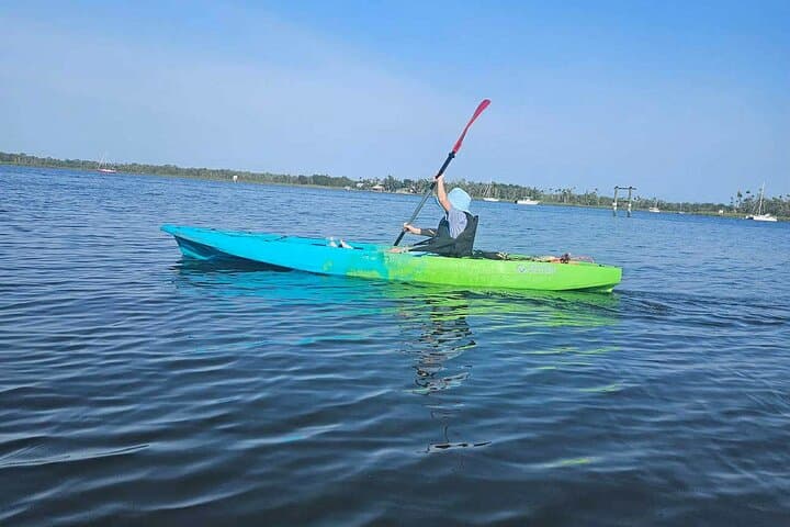 Crystal River Kayak Rental to Three Sisters Springs — Paddle with Manatees in King's Bay photo 5