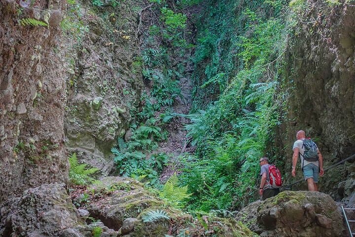 Ram Gorge Hiking Adventure: Ram-szakadék Hike Near Budapest photo 2